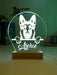 American Staffordshire Personalised Name 3D LED Room Light Decor - KustomboxNight Lights & Ambient LightingKustomboxStandard Size