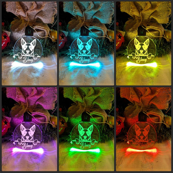 Australian Cattle Stumpy Tail Dog Personalised Christmas Bauble Decoration - KustomboxNight Lights & Ambient LightingKustomboxBauble - Standard Size