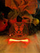 Australian Cattle Stumpy Tail Dog Personalised Christmas Bauble Decoration - KustomboxNight Lights & Ambient LightingKustomboxBauble - Standard Size