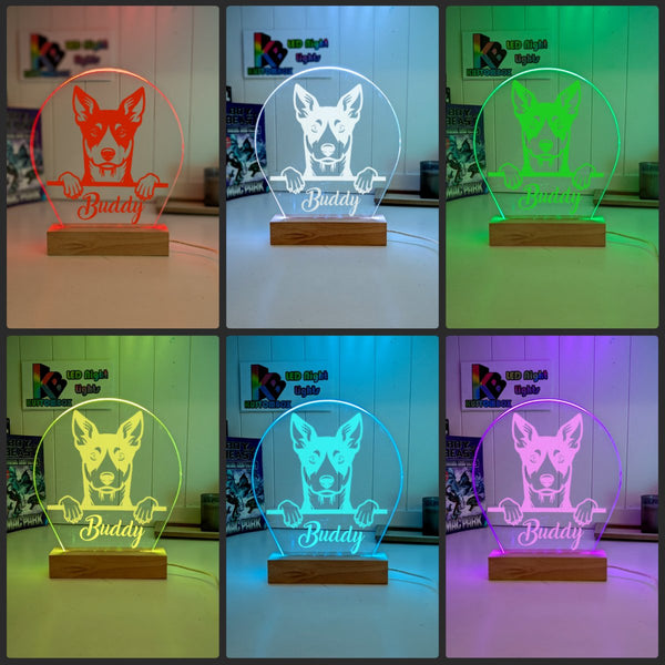 Australian Kelpie Personalised Pet Name 3D LED Room Light Decor - KustomboxNight Lights & Ambient LightingKustomboxStandard Size