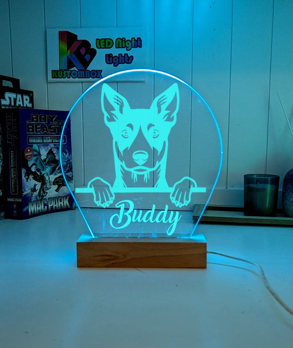 Australian Kelpie Personalised Pet Name 3D LED Room Light Decor - KustomboxNight Lights & Ambient LightingKustomboxStandard Size