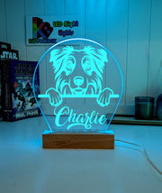 Australian Shepherd Personalised Pet Name 3D LED Room Light Decor - KustomboxNight Lights & Ambient LightingKustomboxStandard Size