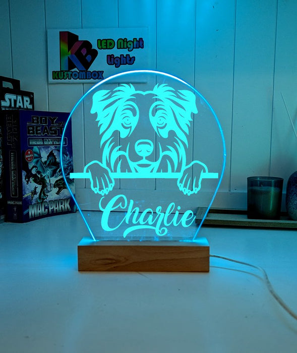 Australian Shepherd Personalised Pet Name 3D LED Room Light Decor - KustomboxNight Lights & Ambient LightingKustomboxStandard Size