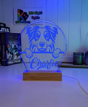 Australian Shepherd Personalised Pet Name 3D LED Room Light Decor - KustomboxNight Lights & Ambient LightingKustomboxStandard Size