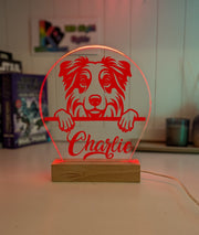 Australian Shepherd Personalised Pet Name 3D LED Room Light Decor - KustomboxNight Lights & Ambient LightingKustomboxStandard Size