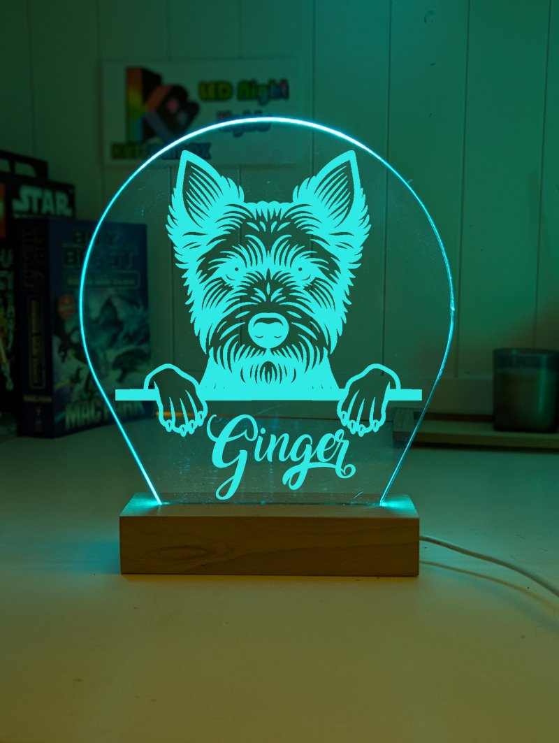 Australian Terrier Pet Personalised Name 3D LED Room Light Decor - KustomboxNight Lights & Ambient LightingKustomboxStandard Size