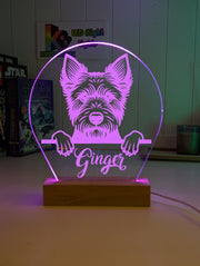 Australian Terrier Pet Personalised Name 3D LED Room Light Decor - KustomboxNight Lights & Ambient LightingKustomboxStandard Size