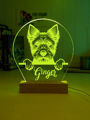 Australian Terrier Pet Personalised Name 3D LED Room Light Decor - KustomboxNight Lights & Ambient LightingKustomboxStandard Size