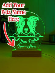 Border Collie Pet Personalised Name 3D LED Room Light Decor - KustomboxNight Lights & Ambient LightingKustomboxStandard Size