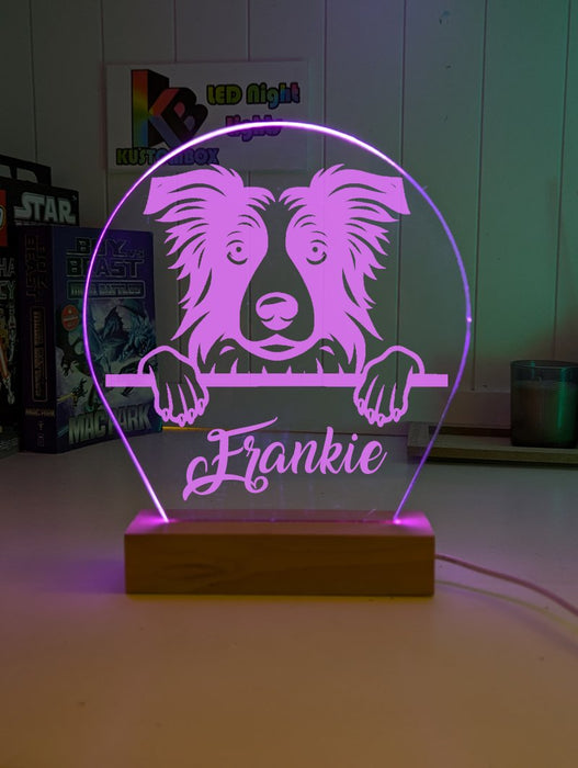 Border Collie Pet Personalised Name 3D LED Room Light Decor - KustomboxNight Lights & Ambient LightingKustomboxStandard Size