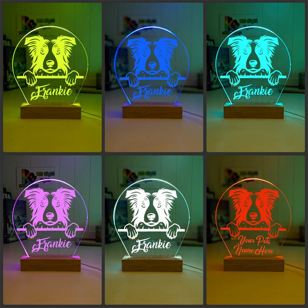 Border Collie Pet Personalised Name 3D LED Room Light Decor - KustomboxNight Lights & Ambient LightingKustomboxStandard Size