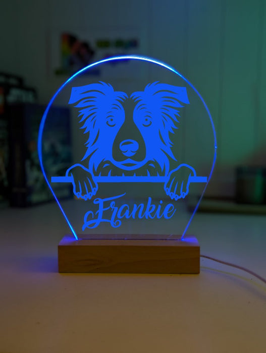 Border Collie Pet Personalised Name 3D LED Room Light Decor - KustomboxNight Lights & Ambient LightingKustomboxStandard Size