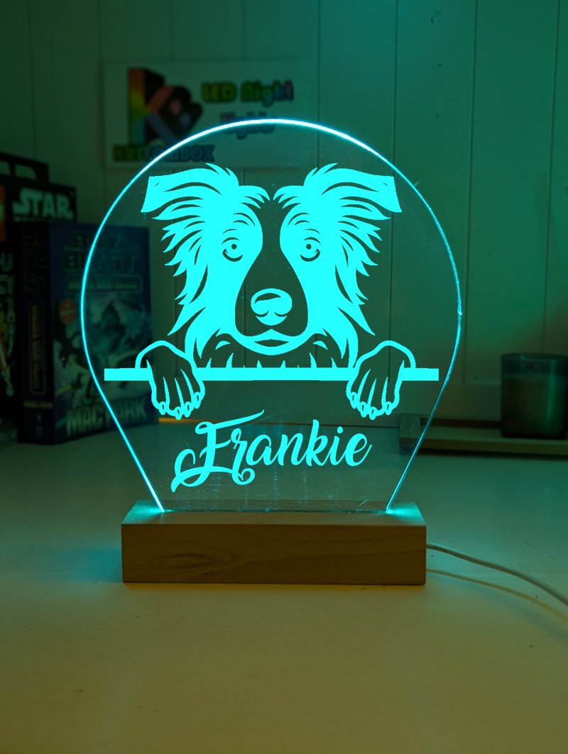 Border Collie Pet Personalised Name 3D LED Room Light Decor - KustomboxNight Lights & Ambient LightingKustomboxStandard Size
