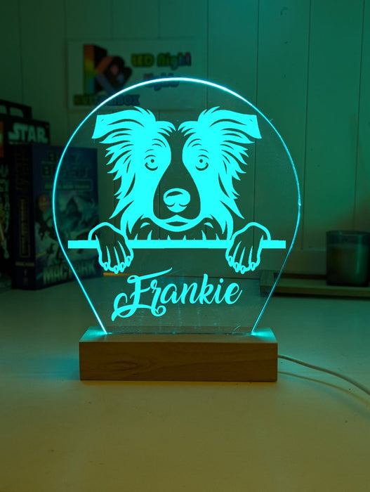 Border Collie Pet Personalised Name 3D LED Room Light Decor - KustomboxNight Lights & Ambient LightingKustomboxStandard Size