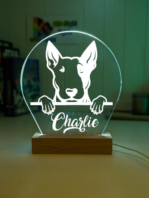 Bull Terrier Dog Personalised Name 3D LED Room Light Decor - KustomboxNight Lights & Ambient LightingKustomboxStandard Size