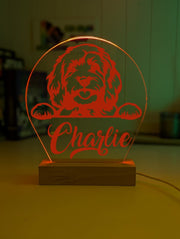 Cavoodle Personalised Name 3D LED Room Light Decor (Copy) - KustomboxNight Lights & Ambient LightingKustomboxStandard Size