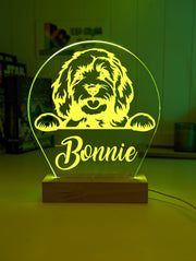 Cavoodle Personalised Name 3D LED Room Light Decor (Copy) - KustomboxNight Lights & Ambient LightingKustomboxStandard Size