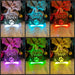 Dog Paw Christmas Personalised Name Bauble LED Hanging Decoration - KustomboxNight Lights & Ambient LightingKustomboxBauble - Standard Size