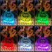 Dog Paws Angel Wings Christmas Memorial Bauble LED Hanging Decoration - KustomboxNight Lights & Ambient LightingKustomboxBauble - Standard Size