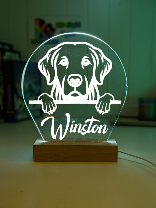 Golden Retriever Pet Personalised Name 3D LED Room Light Decor - KustomboxNight Lights & Ambient LightingKustomboxStandard Size