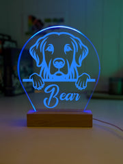 Golden Retriever Pet Personalised Name 3D LED Room Light Decor - KustomboxNight Lights & Ambient LightingKustomboxStandard Size