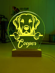 Golden Retriever Pet Personalised Name 3D LED Room Light Decor - KustomboxNight Lights & Ambient LightingKustomboxStandard Size