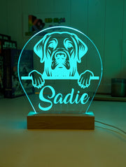 Labrador Retriever Pet Personalised Name 3D LED Room Light Decor - KustomboxNight Lights & Ambient LightingKustomboxStandard Size