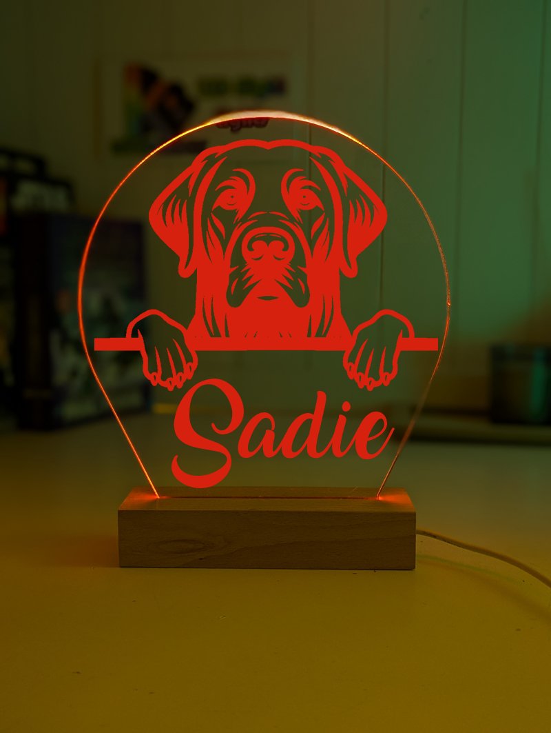 Labrador Led Labrador Retriever Pet Personalised Name 3D LED Room Night Light ...