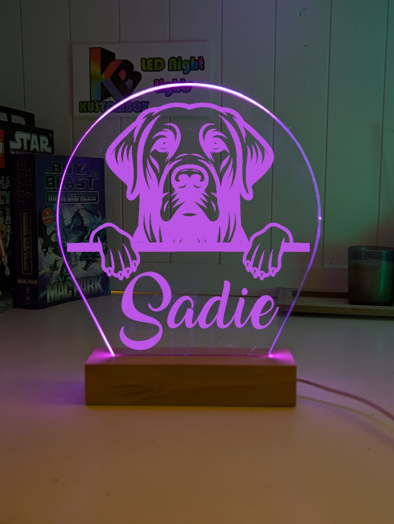Labrador Retriever Pet Personalised Name 3D LED Room Light Decor - KustomboxNight Lights & Ambient LightingKustomboxStandard Size