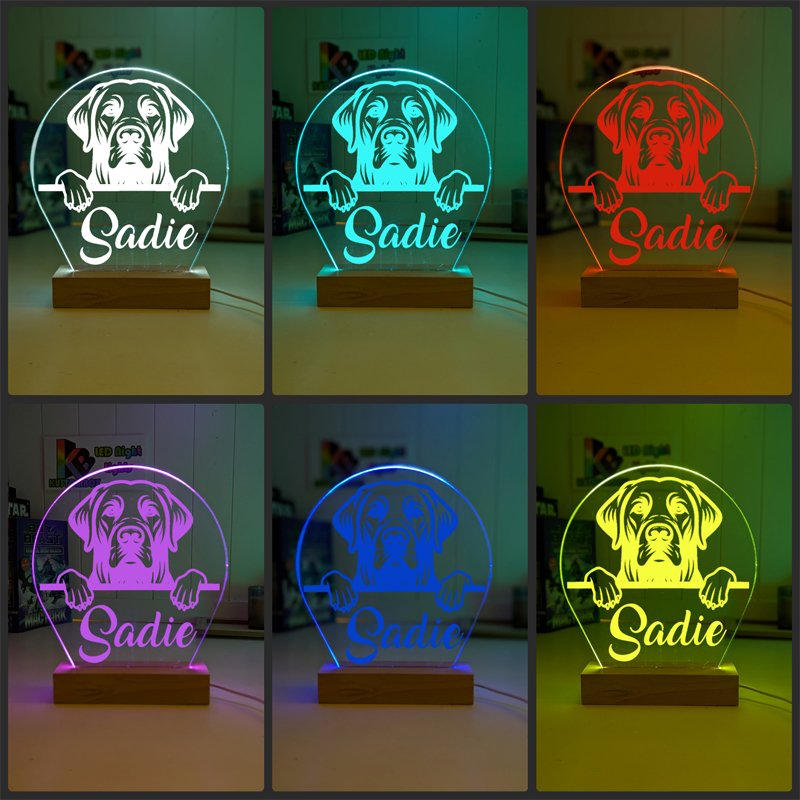 Labrador Led Labrador Retriever Pet Personalised Name 3D LED Room Night Light ...