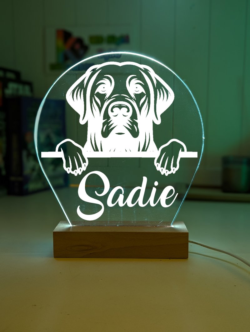 Labrador Retriever Pet Personalised Name 3D LED Room Night Light ...