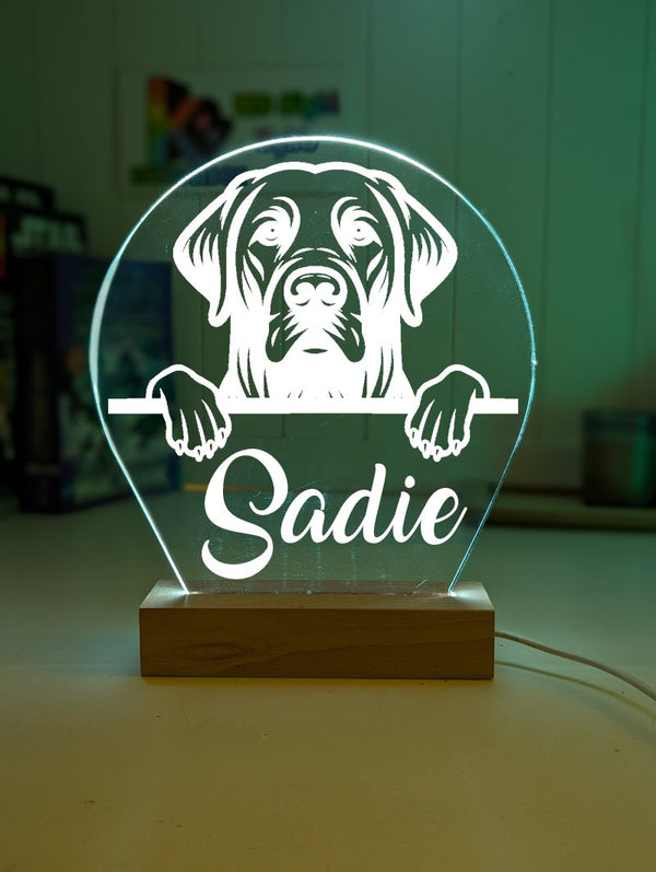 Labrador Retriever Pet Personalised Name 3D LED Room Light Decor - KustomboxNight Lights & Ambient LightingKustomboxStandard Size