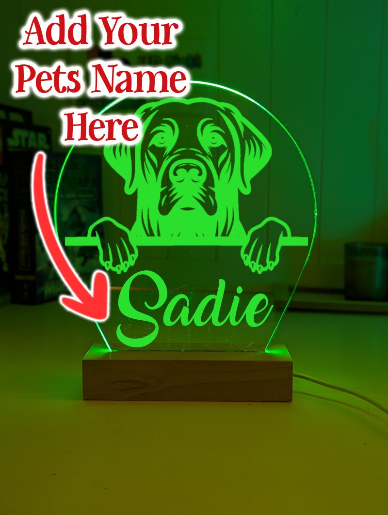 Labrador Retriever Pet Personalised Name 3D LED Room Light Decor - KustomboxNight Lights & Ambient LightingKustomboxStandard Size