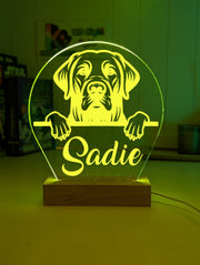Labrador Retriever Pet Personalised Name 3D LED Room Light Decor - KustomboxNight Lights & Ambient LightingKustomboxStandard Size