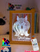 Mandala Horse Head Personalised Name Timber Frame USB 3D LED Night Light Lamp - KustomboxNight Lights & Ambient LightingKustomboxTimber Frame Light - $34.99