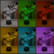 Personalised Name Moana & Pua Personalised Name Light 3D LED Night Light - KustomboxNight Lights & Ambient LightingKustomboxStandard Size
