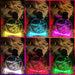 Personalised Pooh Bear Christmas Tree Bauble 3D LED Light Decoration - KustomboxNight Lights & Ambient LightingKustomboxP2 Pooh Standard